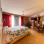Metz Gare Arenes Centre Ville Studio 40M2